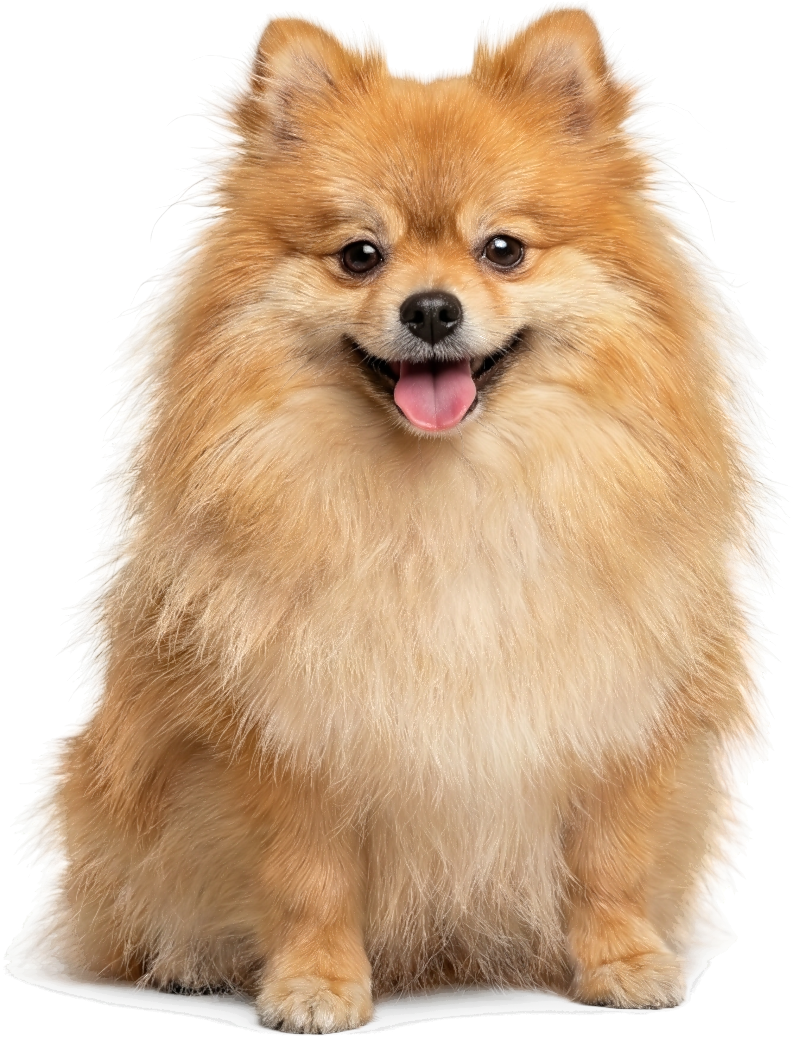 Competitor result with artifacts