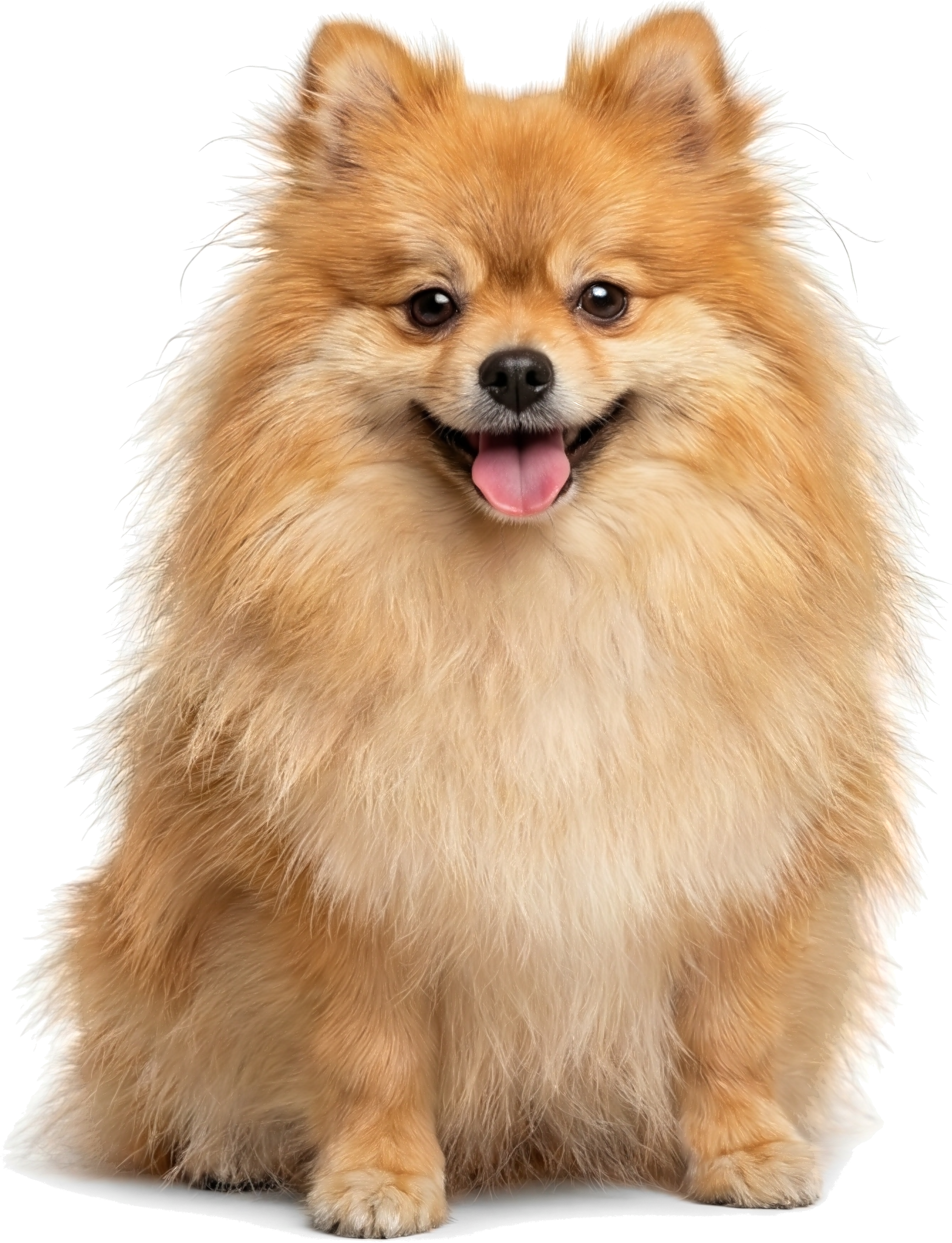 Our result with perfect transparency